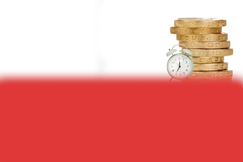 Roční zúčtování DPZČ on-line