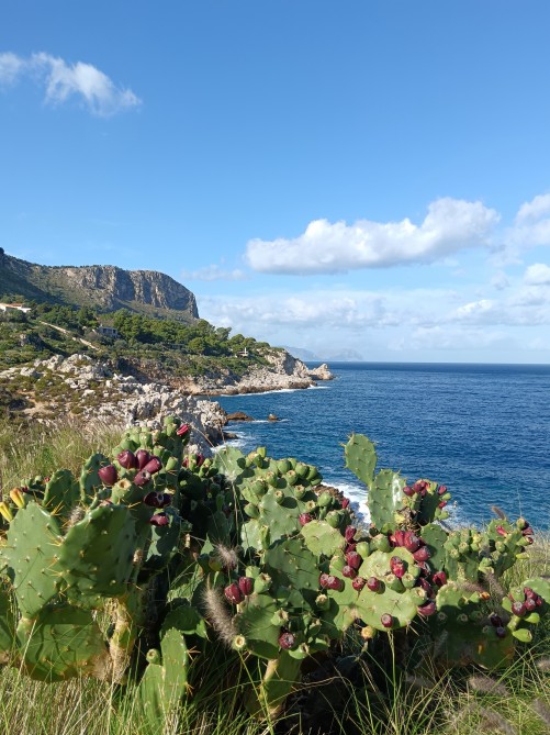 Sicílie s koučinkem